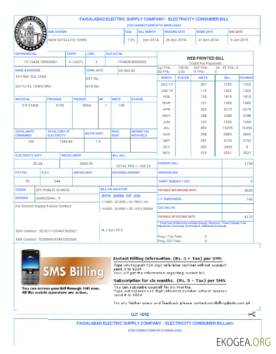 PAKISTAN FAISALABAD utility bill Word and PDF template
